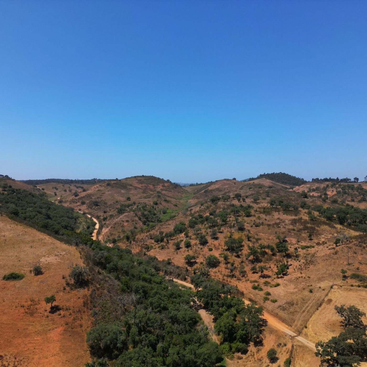 Property Odemira